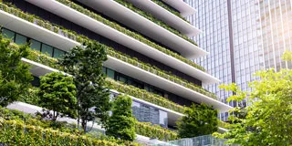 Masaüstü Menü Resmi